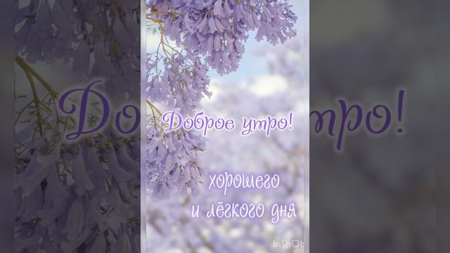 Доброе летнее утро смотреть онлайн