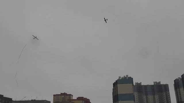 Кейт против Уайлдкэта смотреть онлайн
