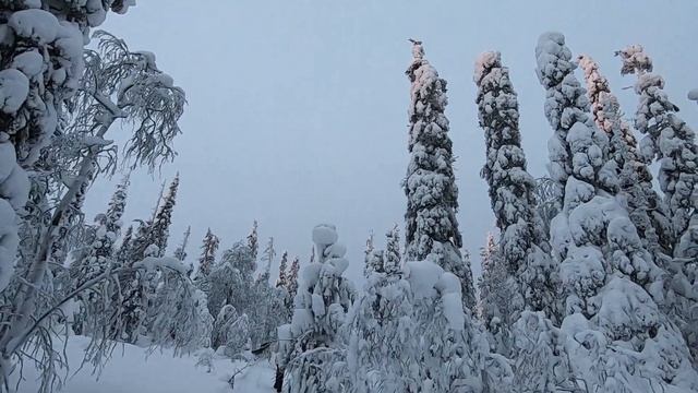 Сказочный лес Имандры смотреть онлайн