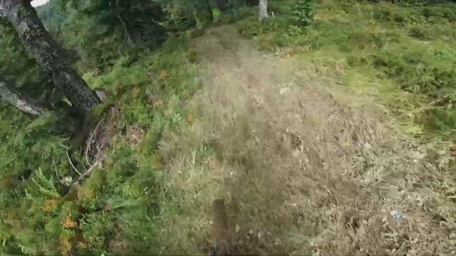 Zahar berkut black trail RAW смотреть онлайн