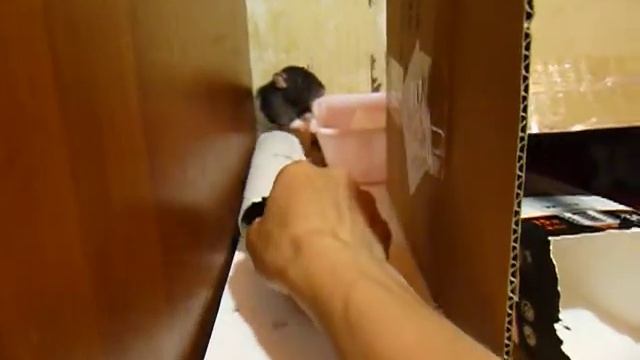 Всё дело в трубочке! смотреть онлайн