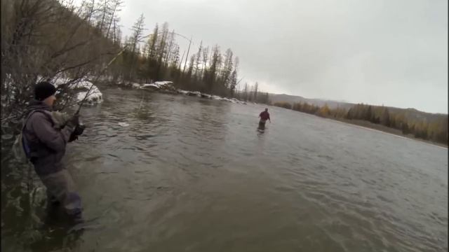 Taimen 120cm - River Shishkid - Mongolia 2016 смотреть онлайн