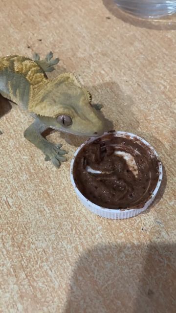 #бананоед Гоша кушает пюрешку смотреть онлайн