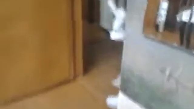 Смотреть накуренным, Кролик-убийца!) смотреть онлайн