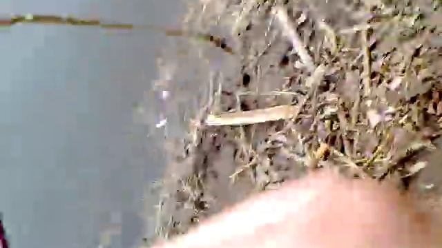 Плотва.mp4 смотреть онлайн