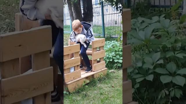Киска бродяжка смотреть онлайн