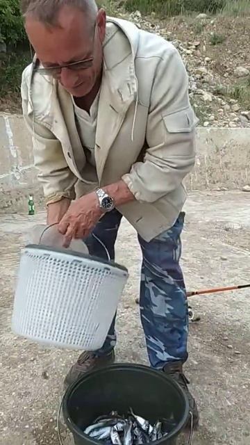 Ловля ставриды вечером в Крыму.(1) смотреть онлайн