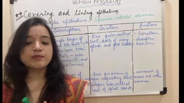 Epithelial tissue part 2 смотреть онлайн