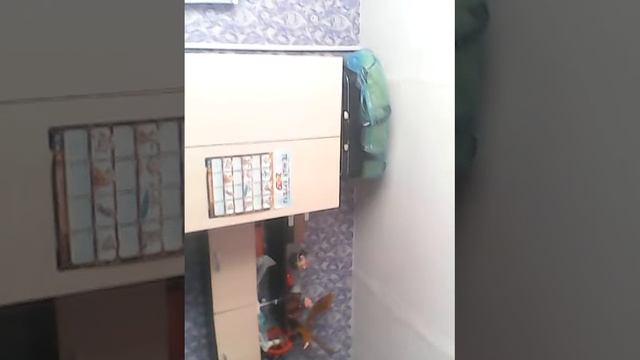 Валенсия видосики самые лушые и крутые и смотреть онлайн