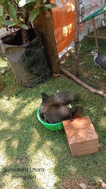 12 September 2021 смотреть онлайн