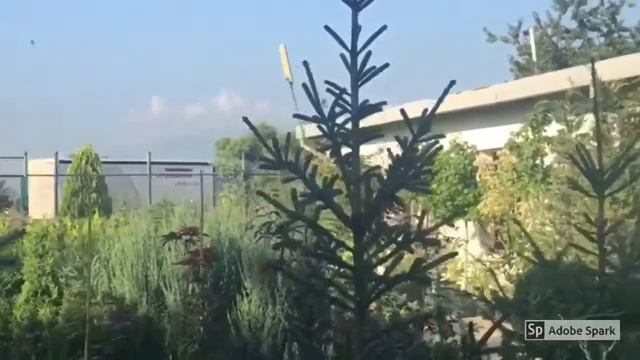 Нашите лястовички смотреть онлайн