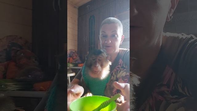 Фрагменты жизни в "обезьяньем доме" 😉👋🐒 смотреть онлайн
