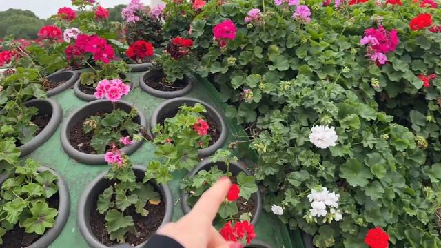 ИСПАНИЯ! КРАСИВЕЙШИЙ ПАРК ТУРИЯ! БОРЕМСЯ С РАССЕЯННЫМ СКЛЕРОЗОМ! смотреть онлайн