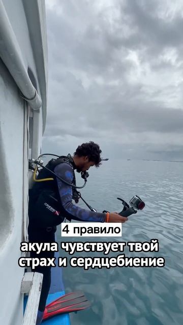 Погружение с акулами-людоедами😳😳😳😳 Выживу ли я ??? смотреть онлайн
