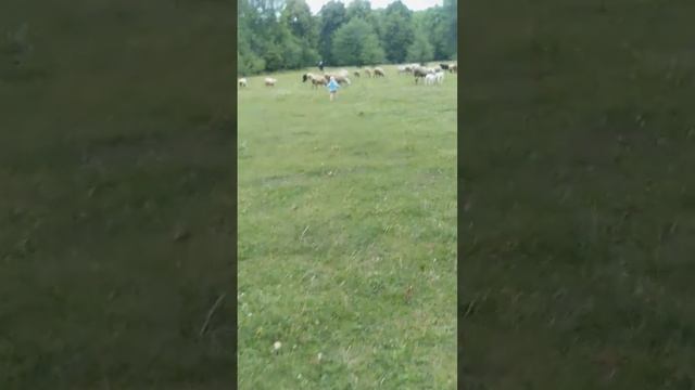 VID 20190716 193310 смотреть онлайн