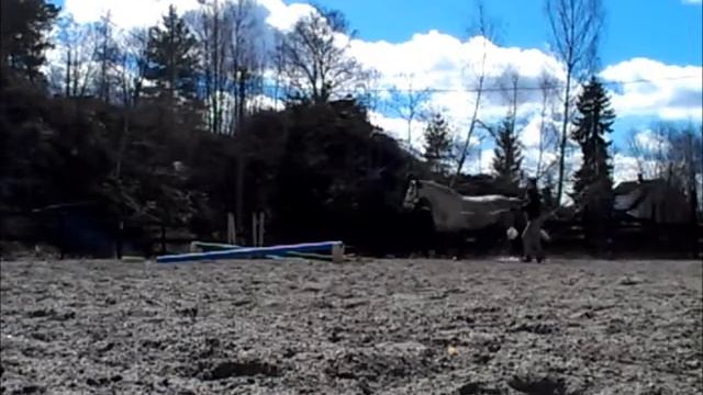 Windy day смотреть онлайн