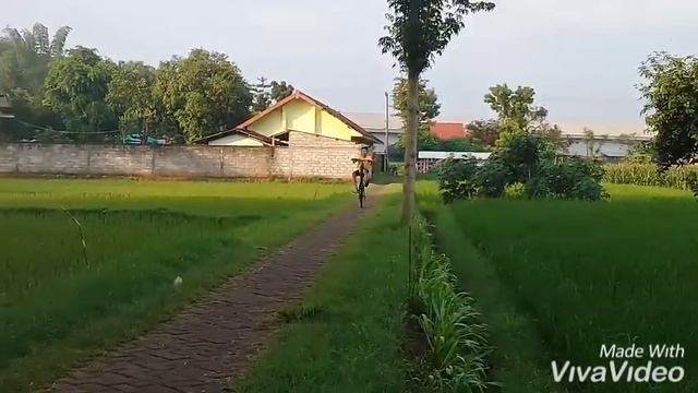 Jumping lama смотреть онлайн