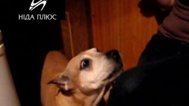 Нида пытаеться сказать Мама смотреть онлайн