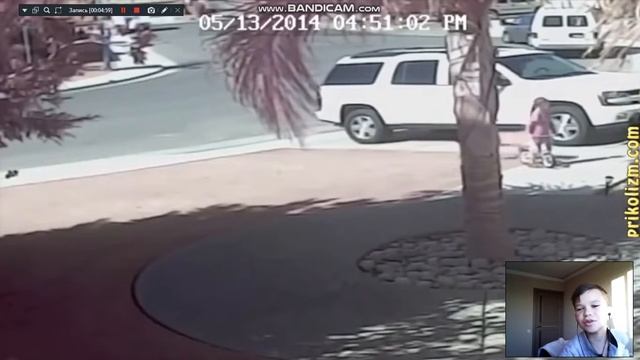 ТЕСТ НА ПСИХИКУ С ЖИВОТНЫМИ смотреть онлайн