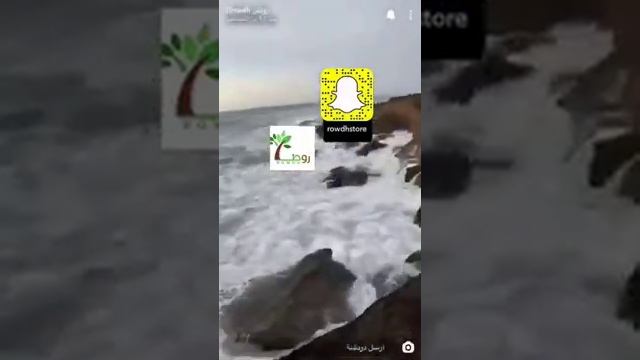 فوائد الخل مع النباتات الزراعية المختلفة (لمكافحة الحشرات الضارة والفطريات) смотреть онлайн