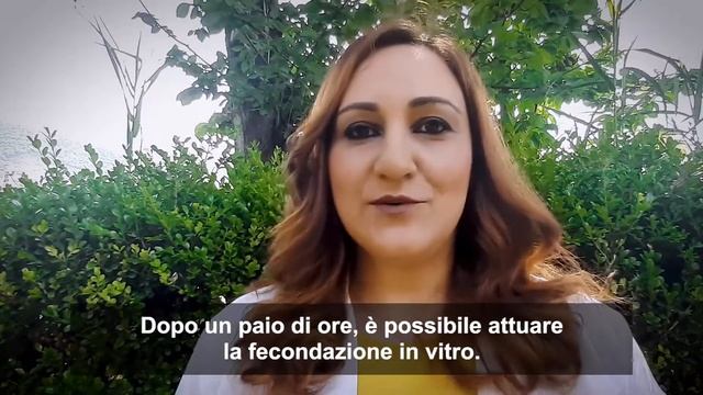 TECNICHE DI FECONDAZIONE IN VITRO - FIVET E ICSI смотреть онлайн