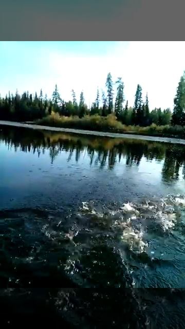 Осенью 2018г и утка... смотреть онлайн