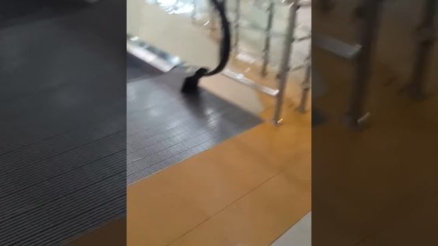 Сити ура кино "черная пантера" смотреть онлайн