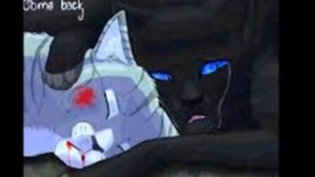 Ласточка и Грач~Клип: Между нами (Ч.О) смотреть онлайн