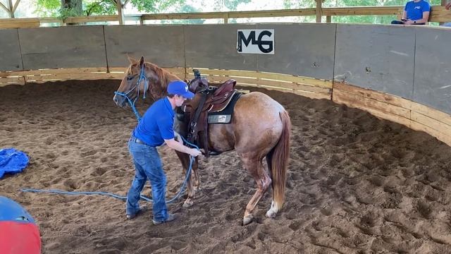 First Ride On Unhandled Quarter Horse | The Horse Guru - Michael Gascon смотреть онлайн