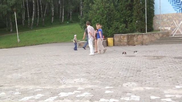 Семья Утюговых на прогулке смотреть онлайн