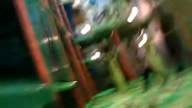 Airgun в действии.) смотреть онлайн