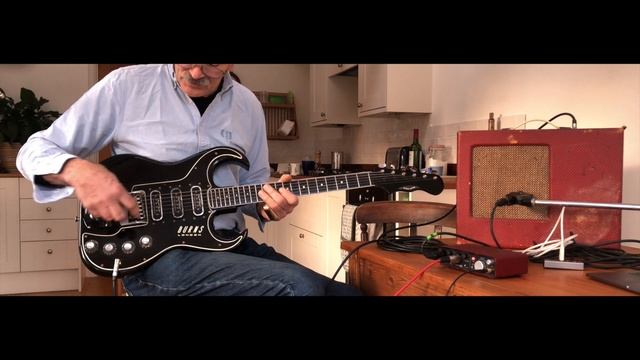 Burns Bison Demo смотреть онлайн