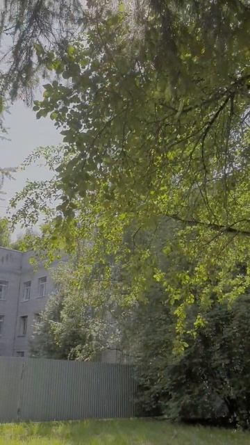 просто видео смотреть онлайн