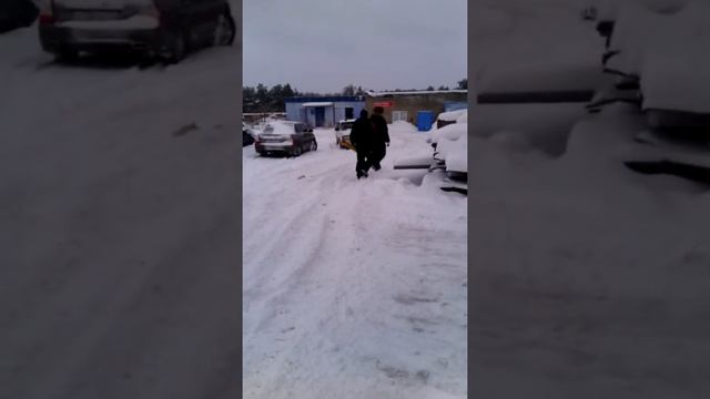 23 ноября 2016 г. смотреть онлайн