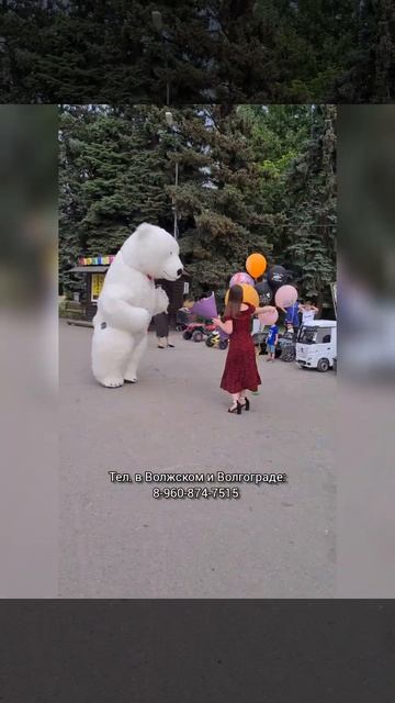 Друзья поздравили необычным способом💐 Большой медведь подбежал прямо в парке 🔥 #белыймедведьволжски смотреть онлайн