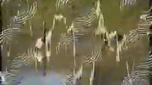 Didgeridoo music video - Blue Labyrinth by Axis from CD Didgeridoo Trance Dance смотреть онлайн