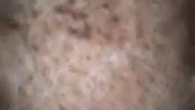 Fossil raro encontrado смотреть онлайн