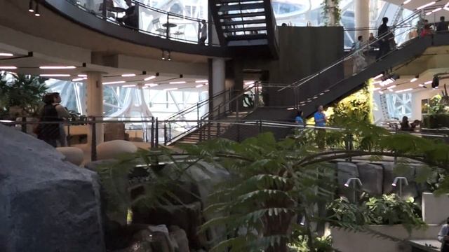 [Travel] Seattle - Amazon Spheres (Inside View) смотреть онлайн