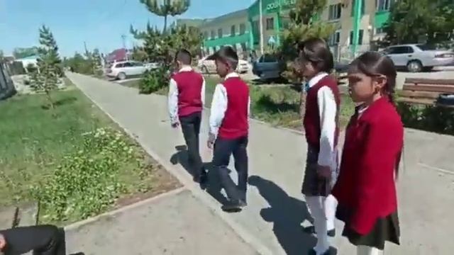 Экология ролик смотреть онлайн