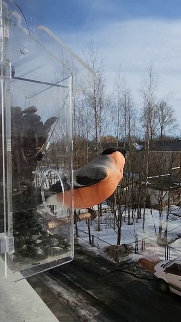 2023.03.18 смотреть онлайн