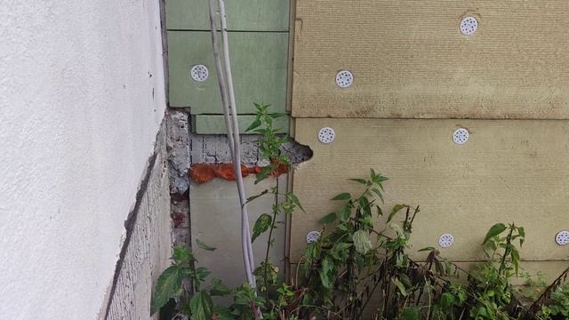 возможно убийство насекомыми смотреть онлайн