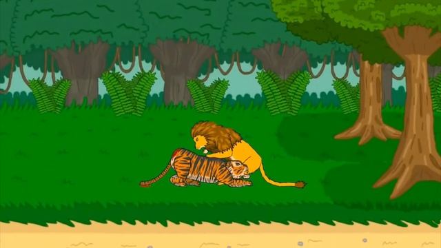 лев против тигр 🐯