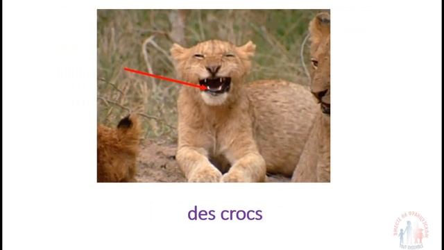 lionceau смотреть онлайн