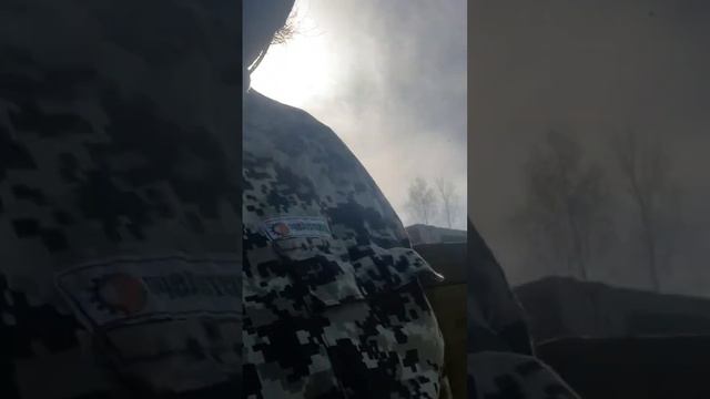 Обращение к соседям от пчеловода часть 2. #bee #обучениепчеловодству #пчелы #пчелопакет #honeybee смотреть онлайн