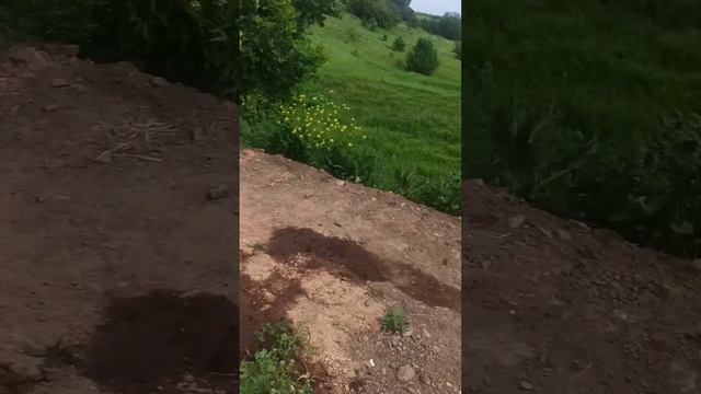 Продолжение "Выдержала дамба" много карасей!! смотреть онлайн