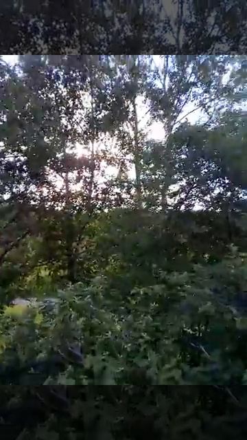 Братишка соловей!! смотреть онлайн