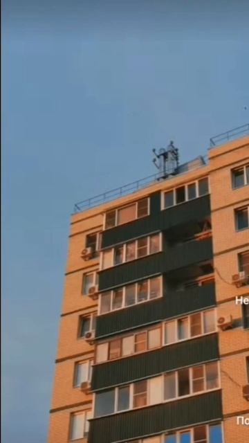 Где ты хочешь жить? #shots #рекомендации #жизнь #кот смотреть онлайн