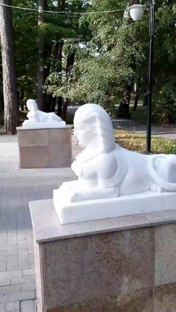 Фильм 1370 Светлогорские сфинксы угадывают судьбу смотреть онлайн