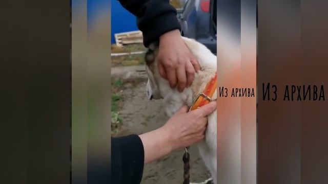 Преодолевшая страхи смотреть онлайн
