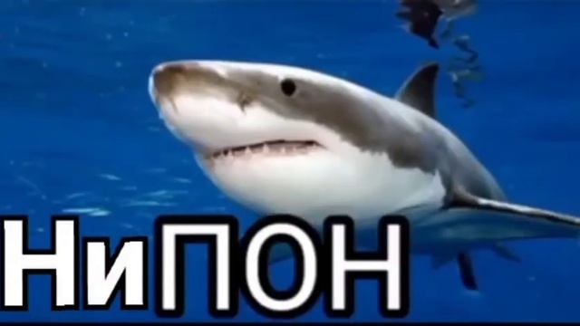 ни пон смотреть онлайн